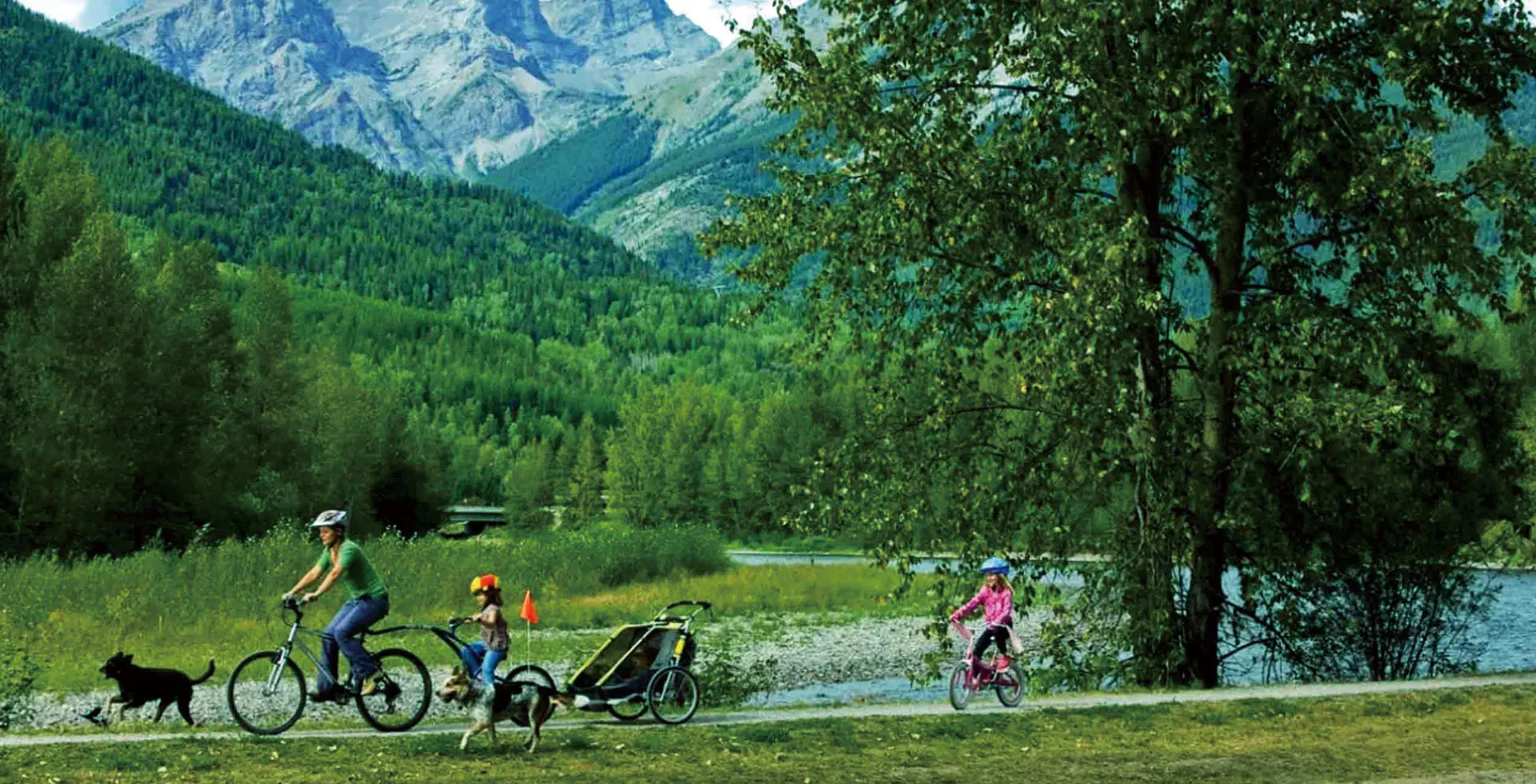 Boosting ROI with Pump Tracks A Game-Changer for Parks, Campsites, and Resorts